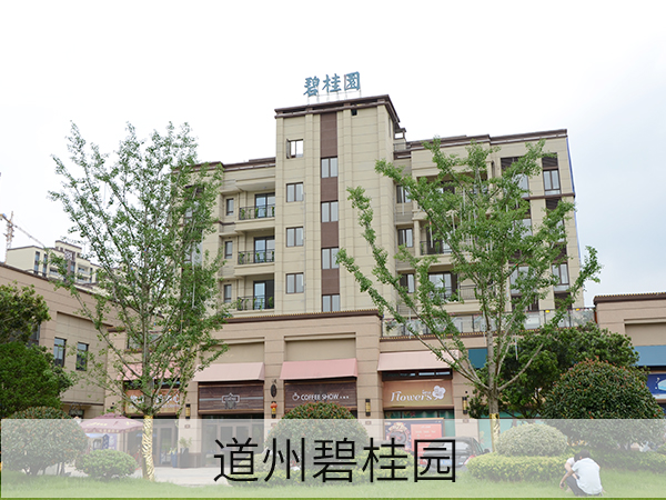 1609824772736818.jpg 道州碧桂園4.jpg